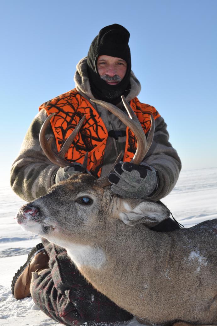 Archives of whitetail deer Photo